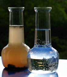Mineral Recovery